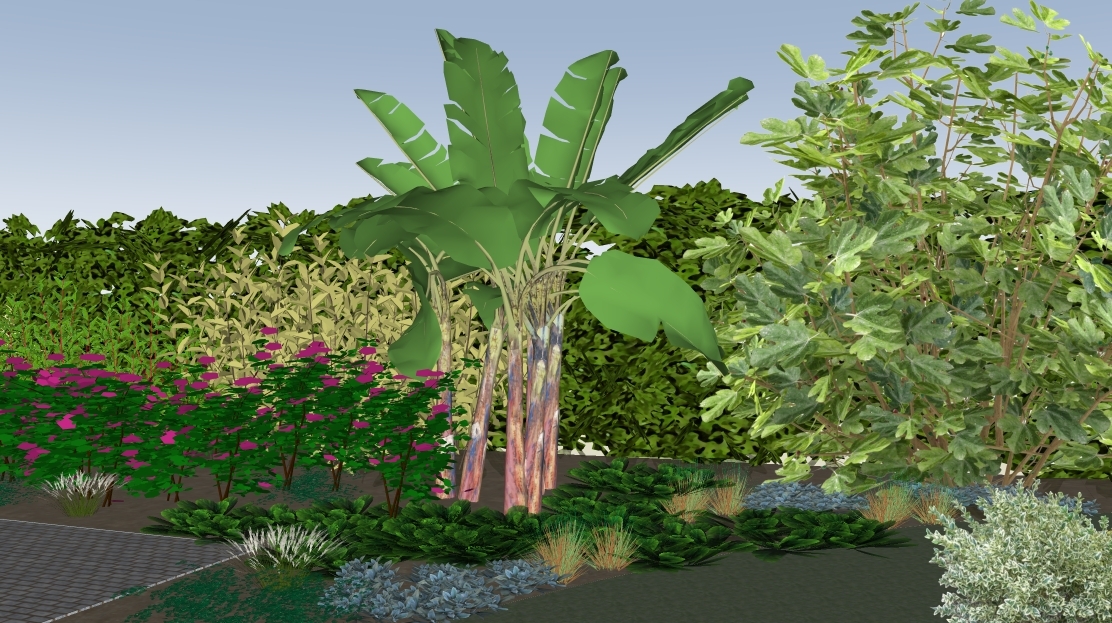 Ich plane einen tropischen Garten